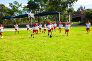 Group of students in sport uniform playing soccer in green field